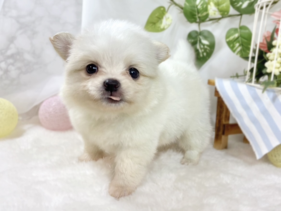 生体画像４