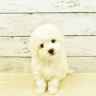 10番見られている子の画像