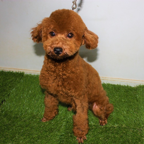 6番見られている子の画像