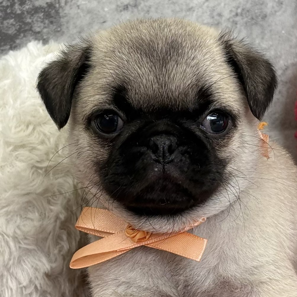 生体画像１