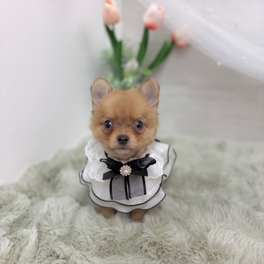 生体画像１
