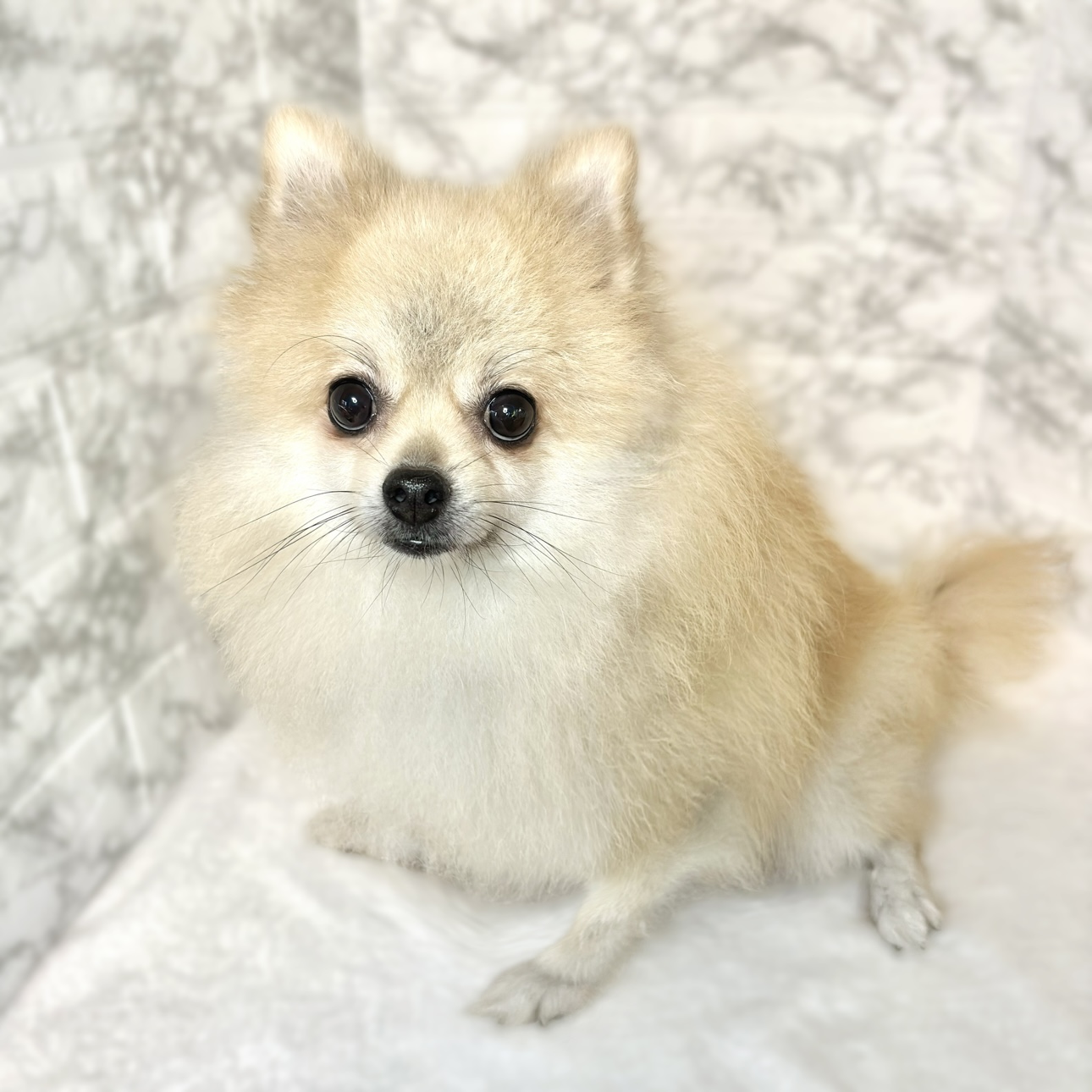 8番見られている子の画像