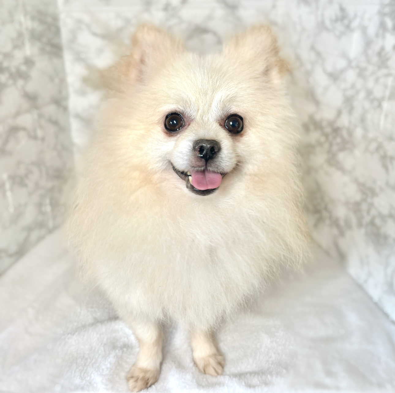 8番見られている子の画像