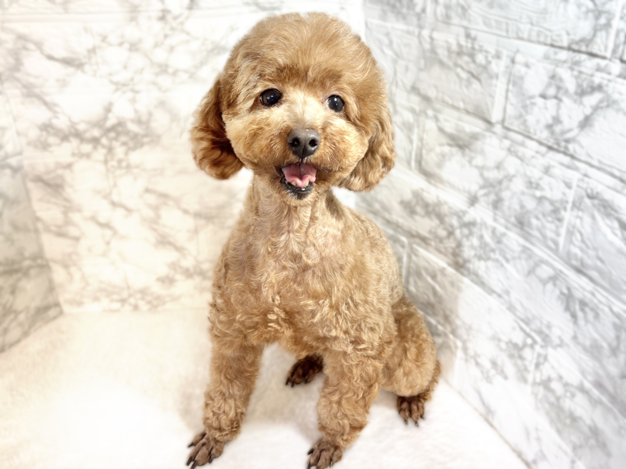 6番見られている子の画像