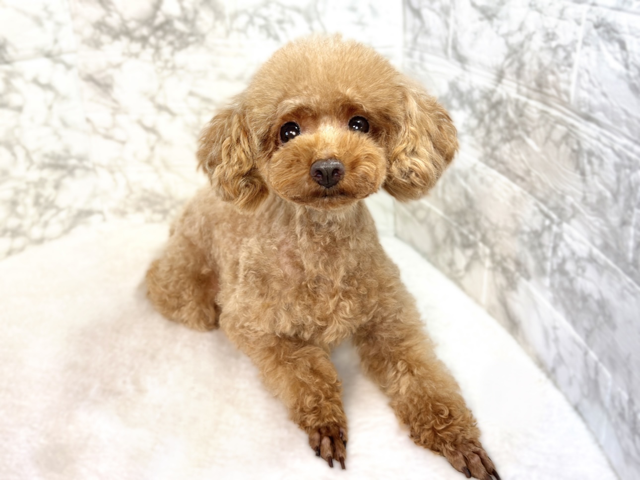 5番見られている子の画像