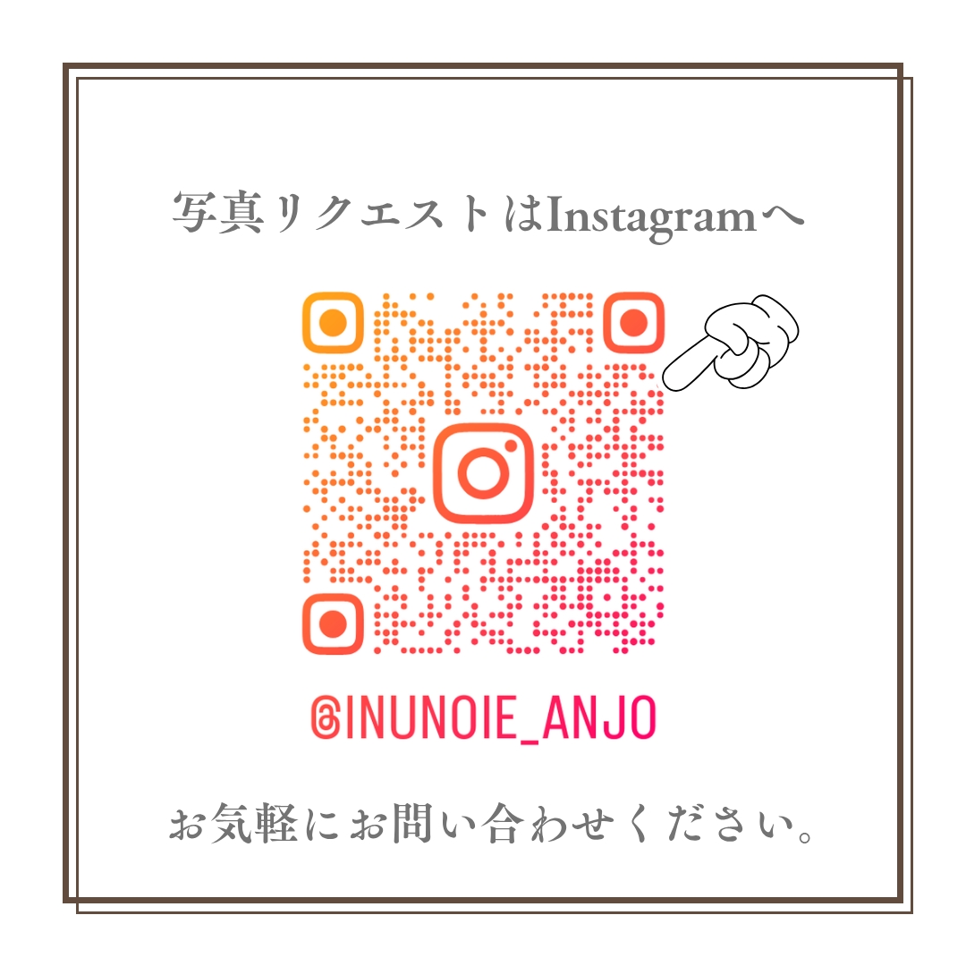 生体画像１０