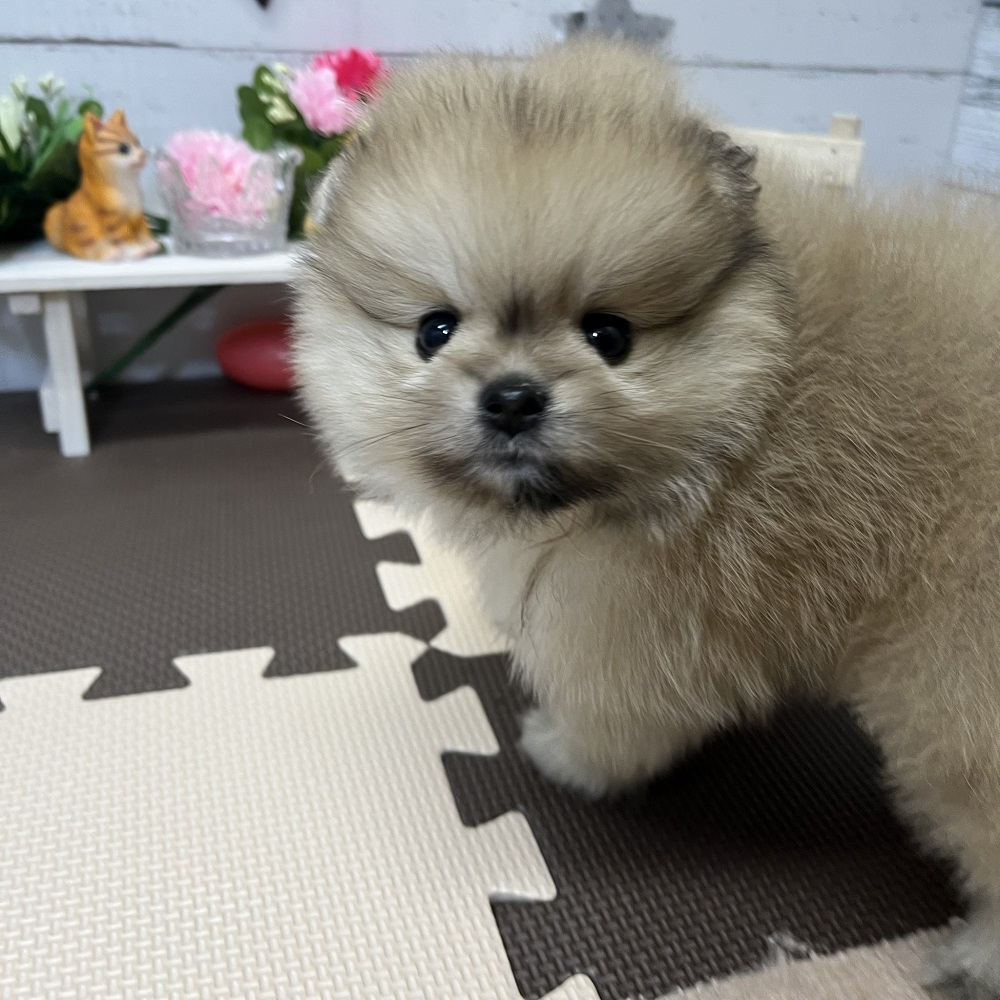 生体画像１０