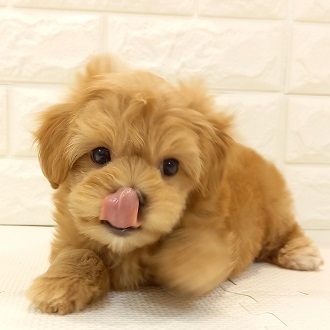 生体画像10