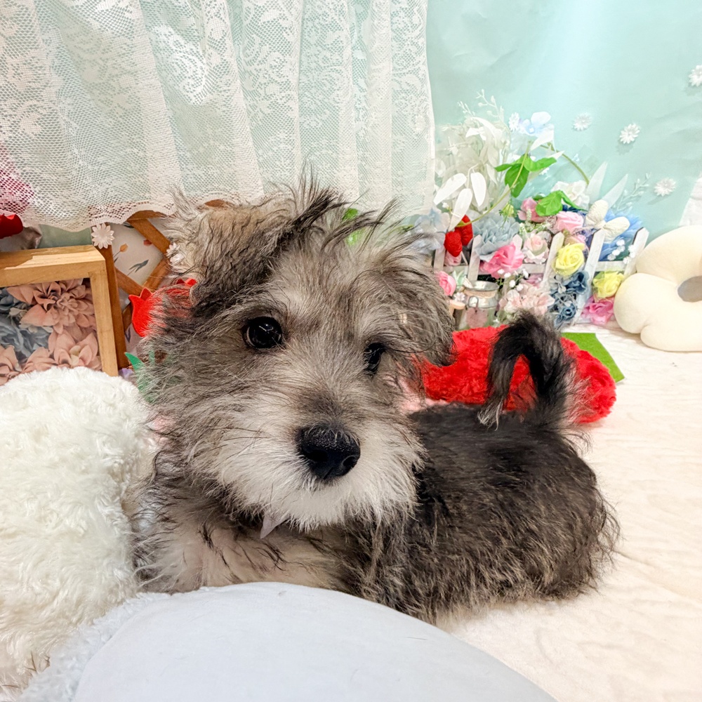 生体画像１０