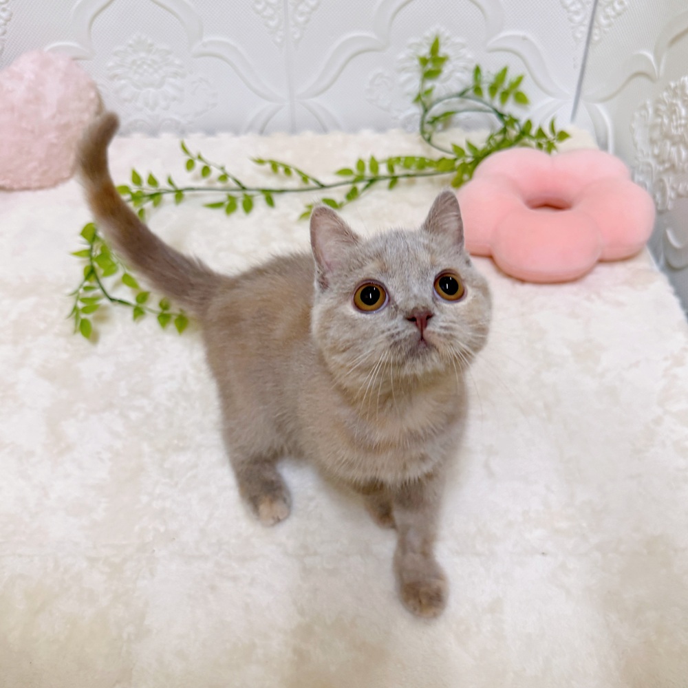 生体画像１０