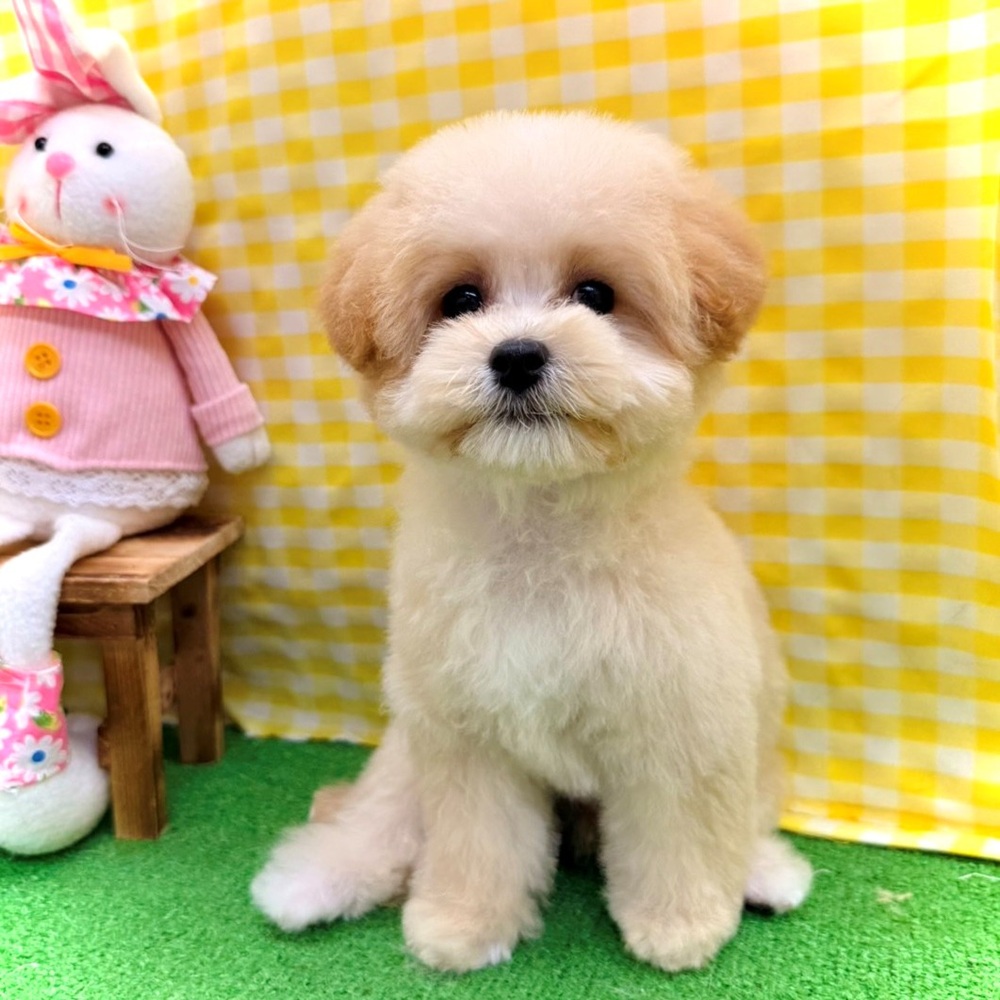 生体画像１０