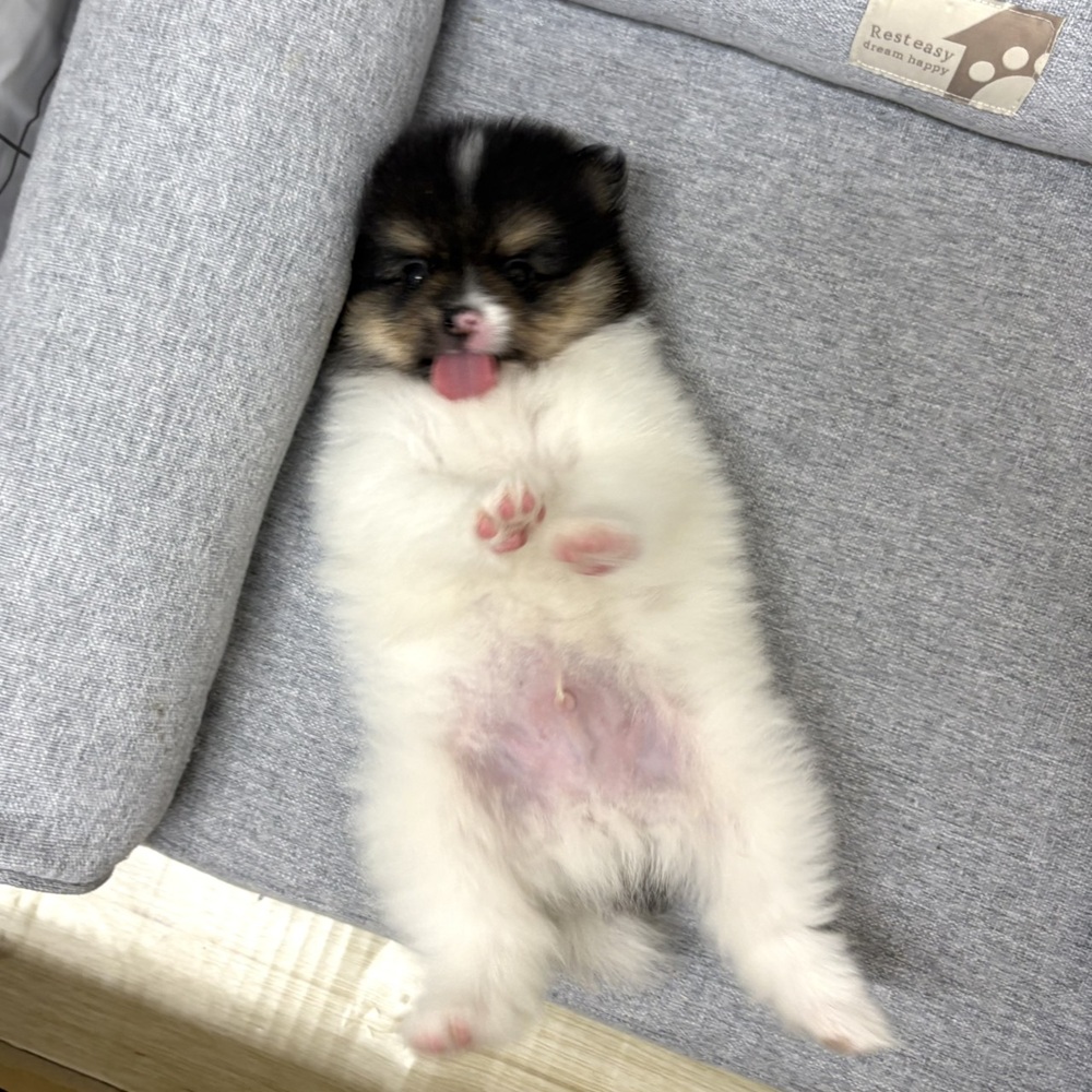 生体画像10
