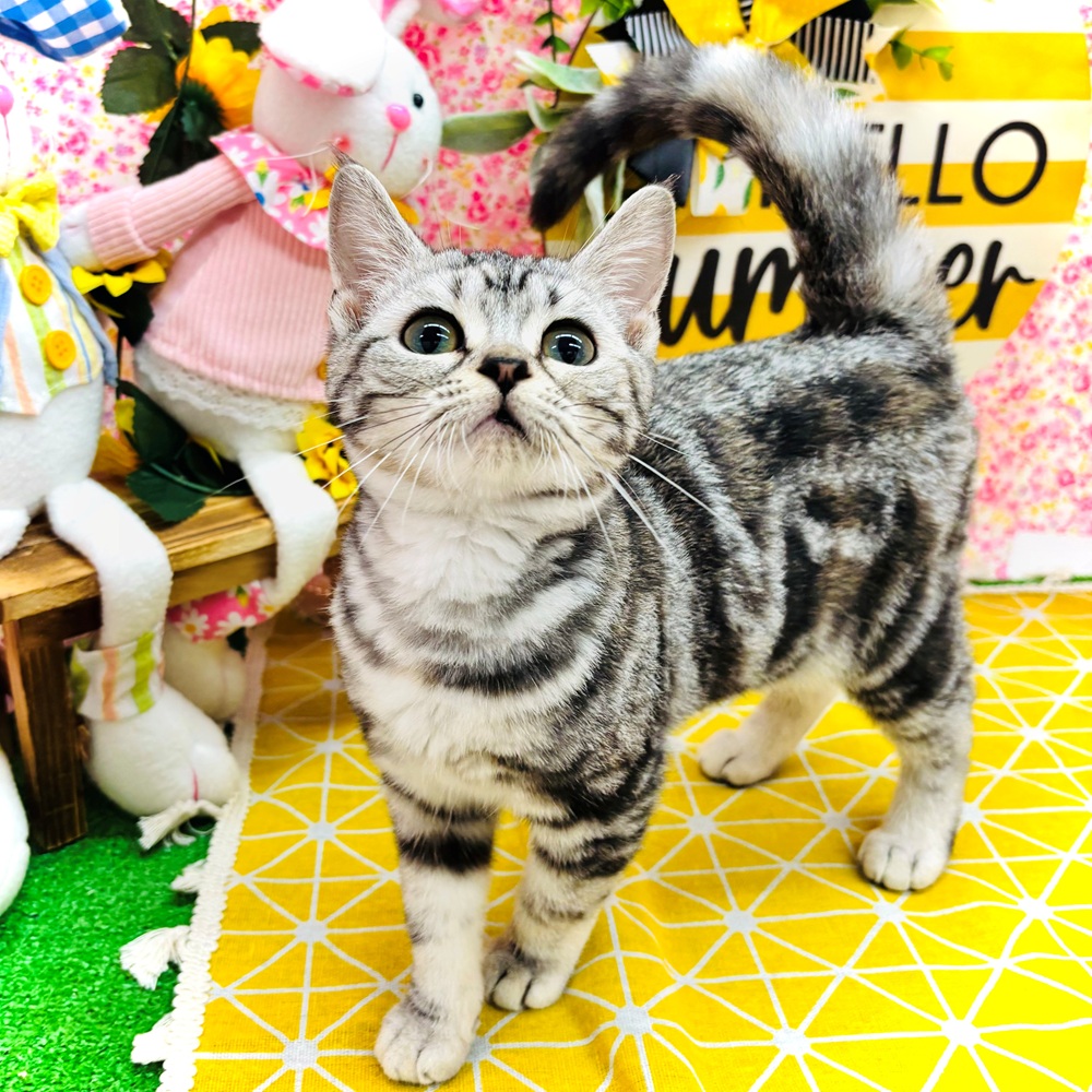 生体画像１０