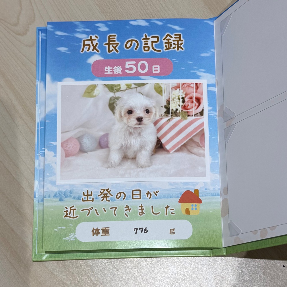 生体画像１０