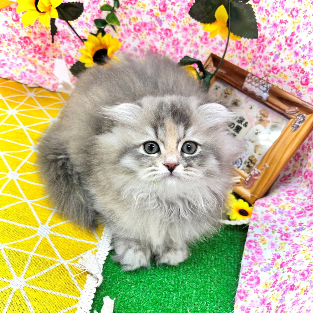 生体画像１０