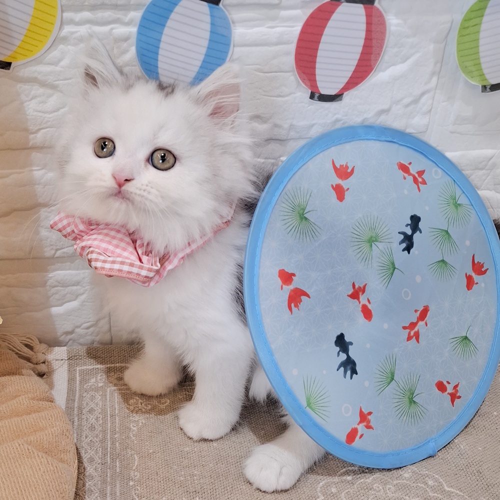 生体画像10