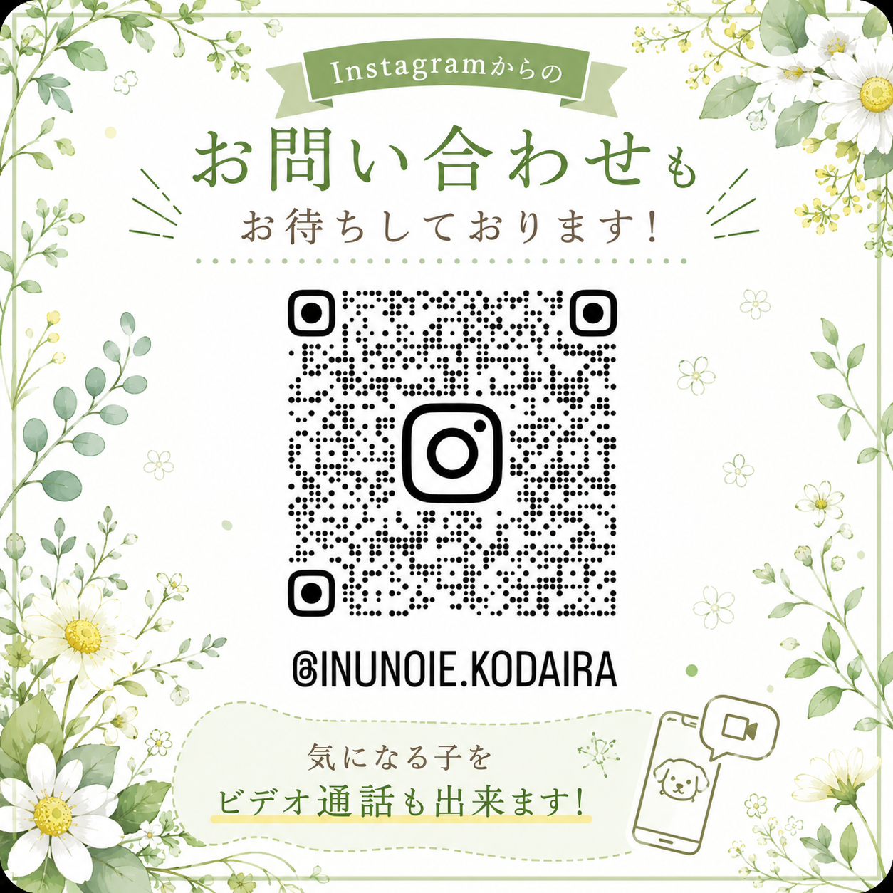 生体画像１０