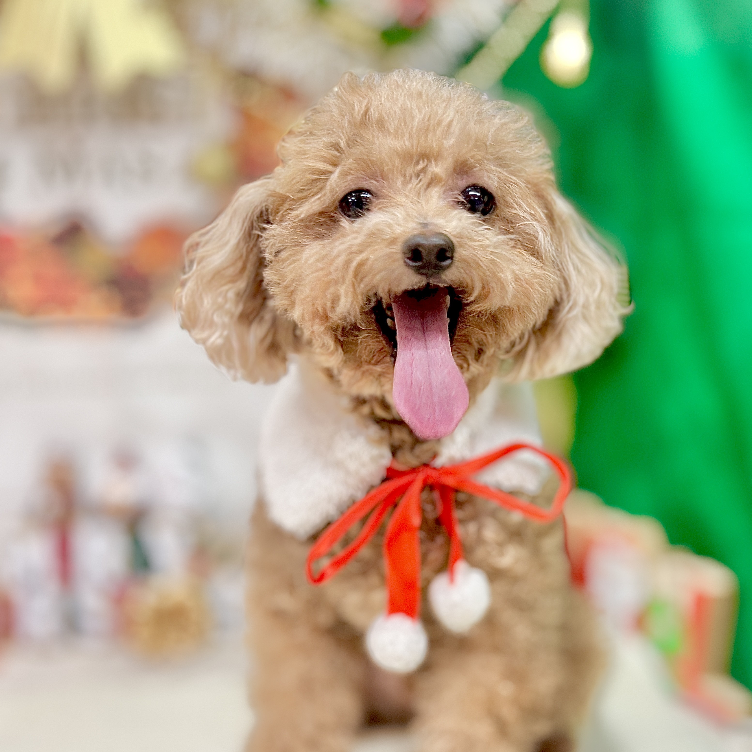 5番見られている子の画像