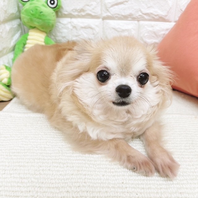 9番見られている子の画像