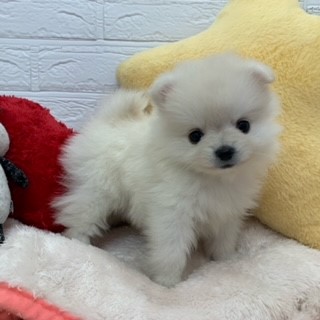 生体画像２