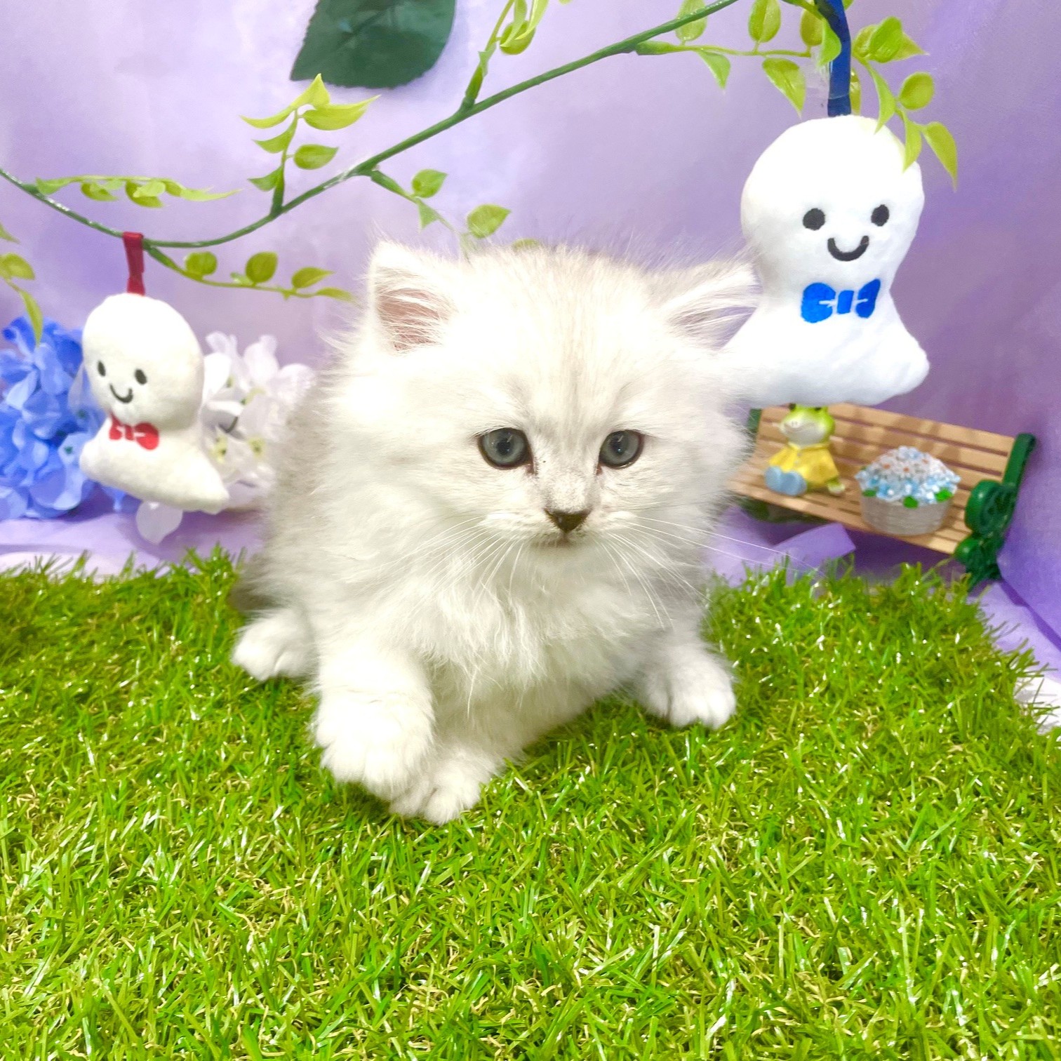 生体画像２