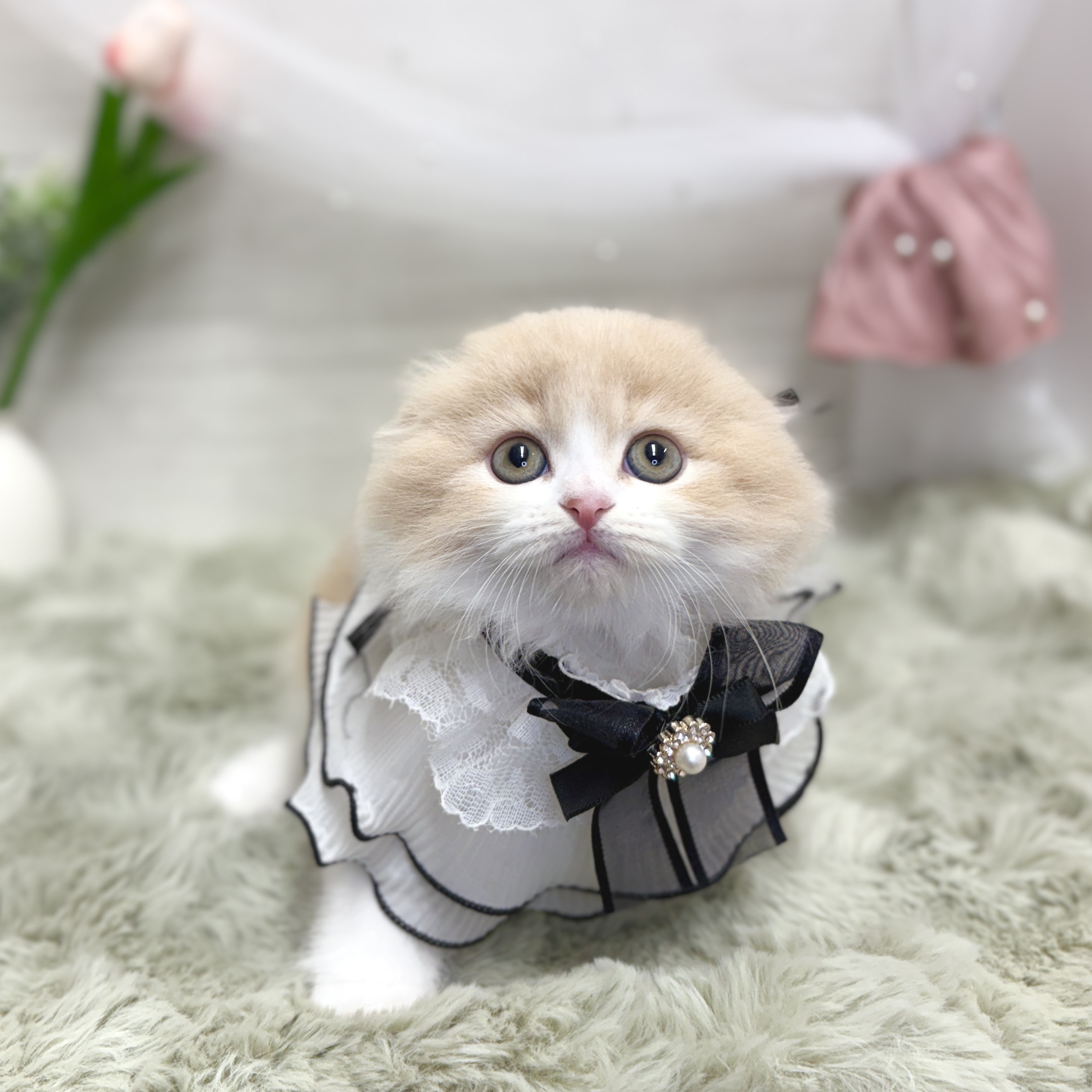 生体画像2