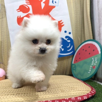 生体画像2