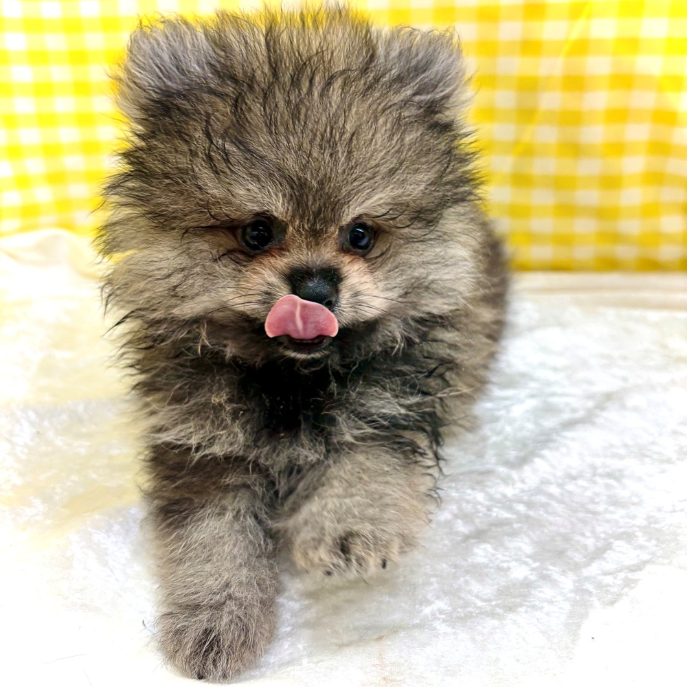 生体画像２