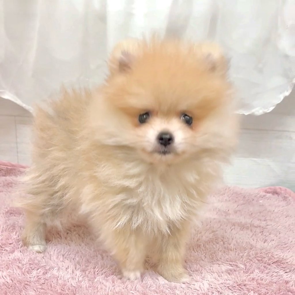 生体画像2