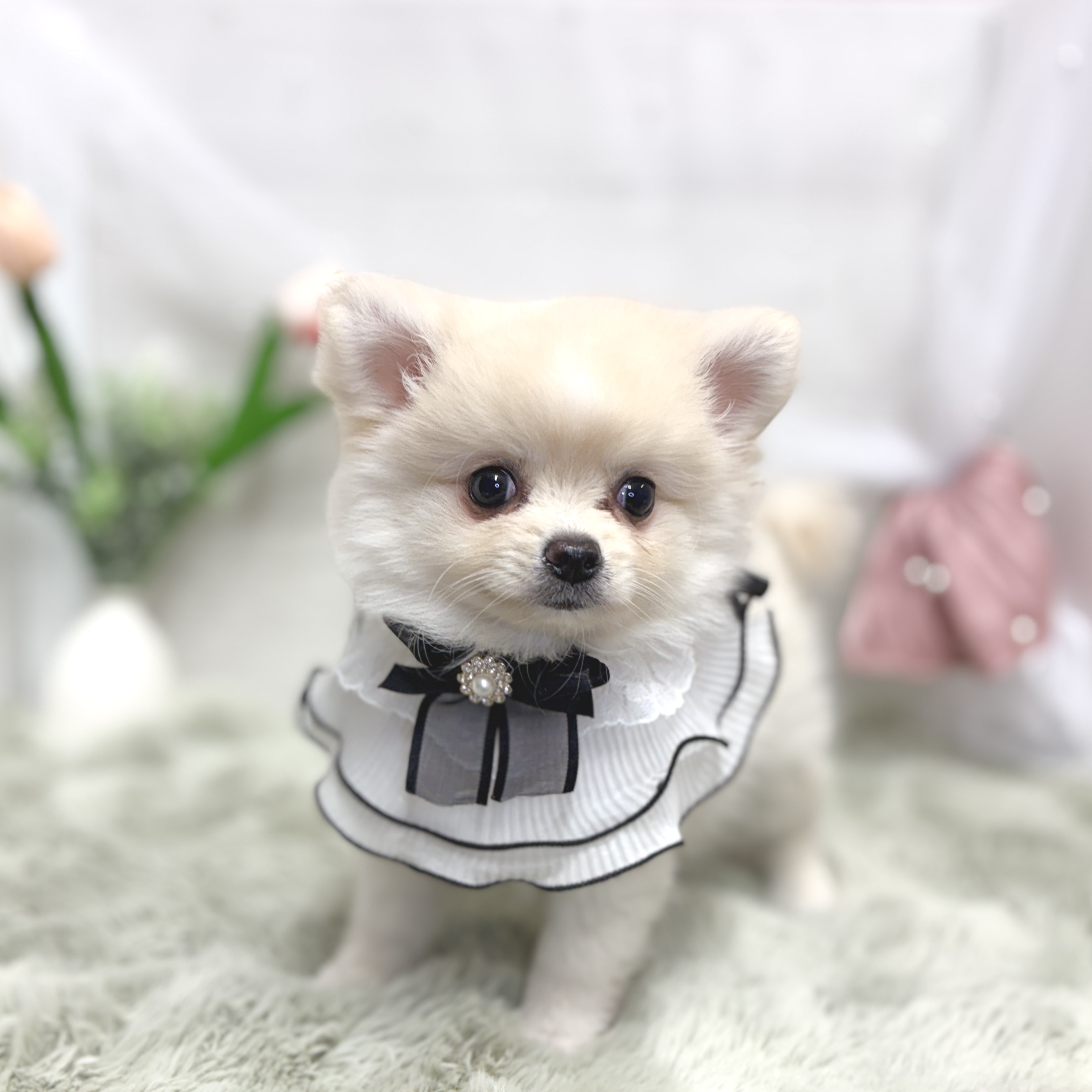 生体画像２
