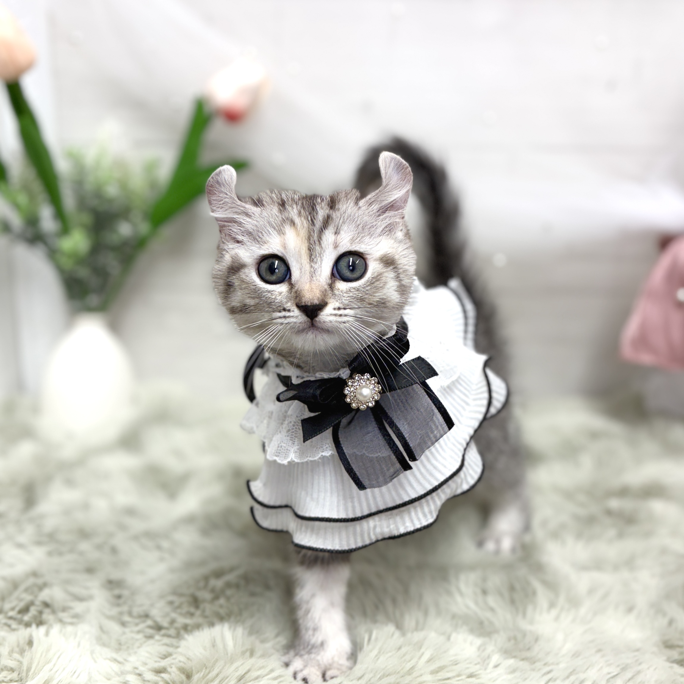 生体画像２