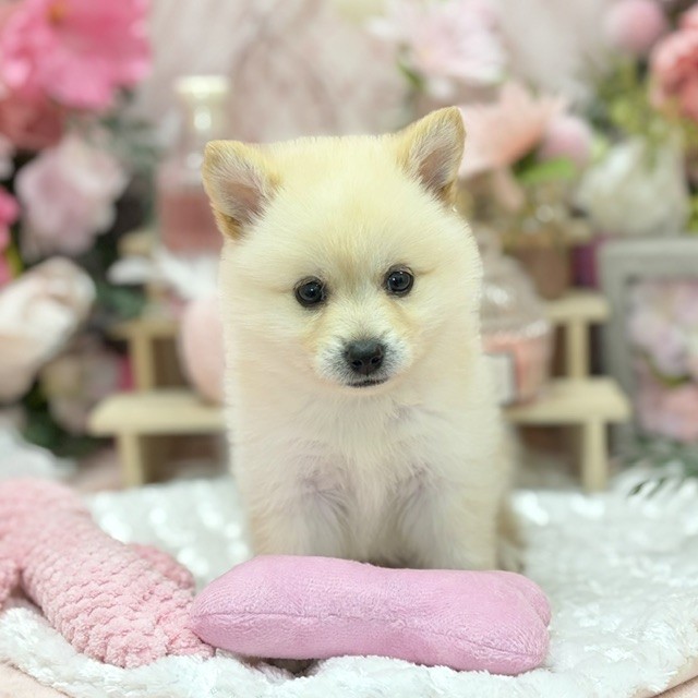 生体画像２
