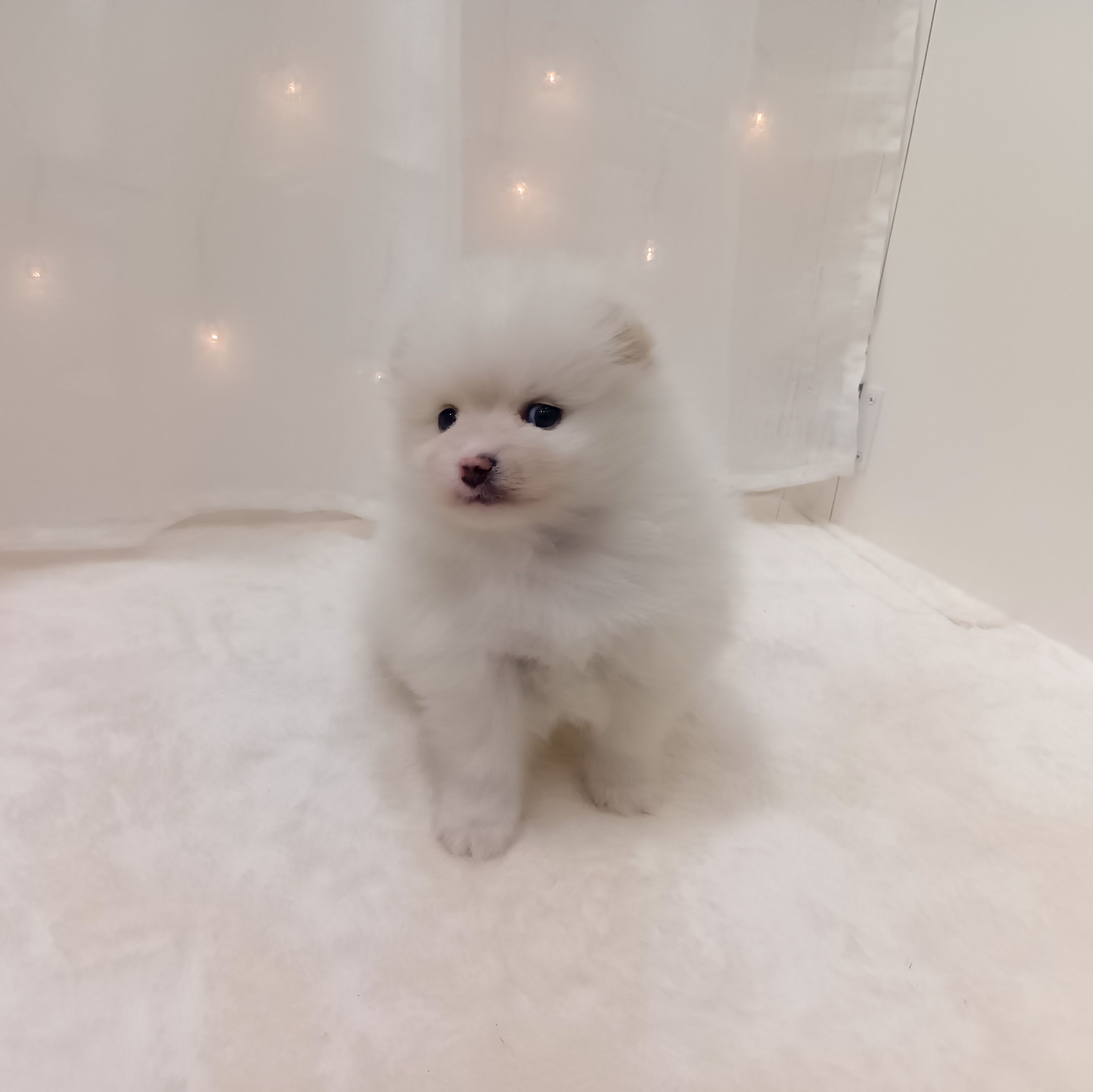 生体画像2