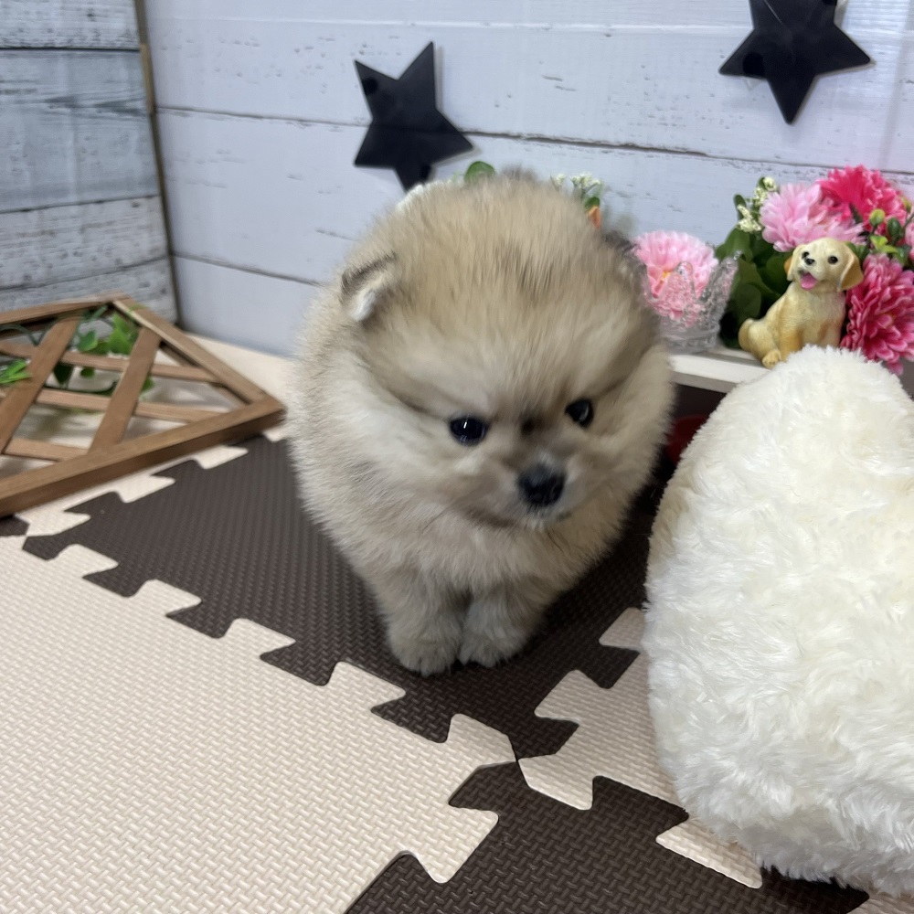 生体画像３