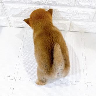 生体画像3
