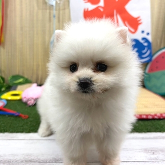 生体画像3