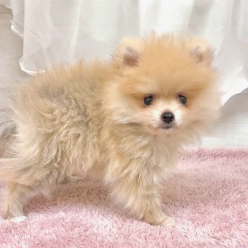 生体画像3
