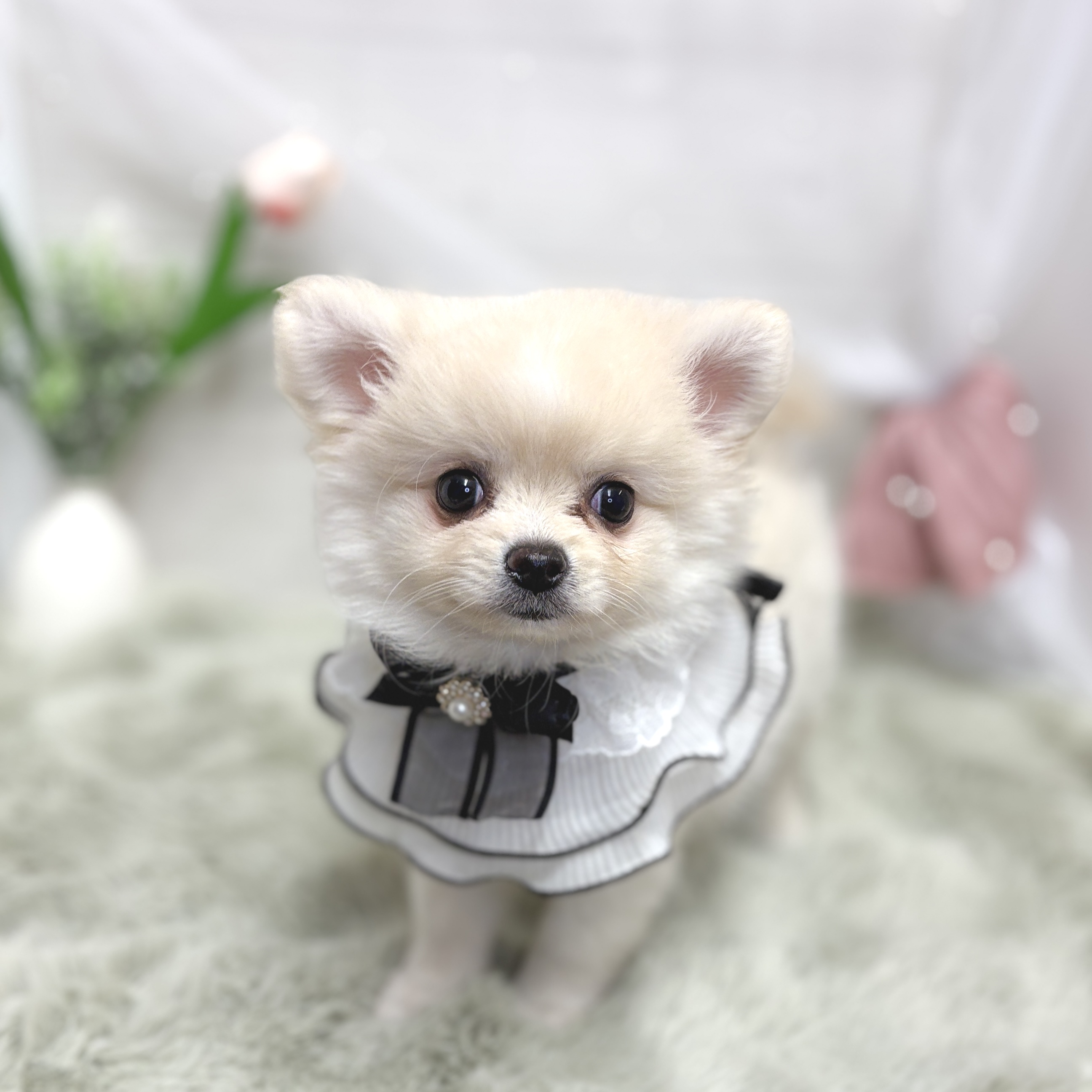 生体画像３