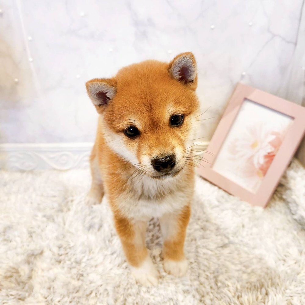 生体画像４