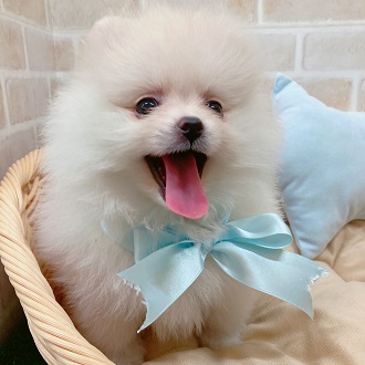 生体画像４