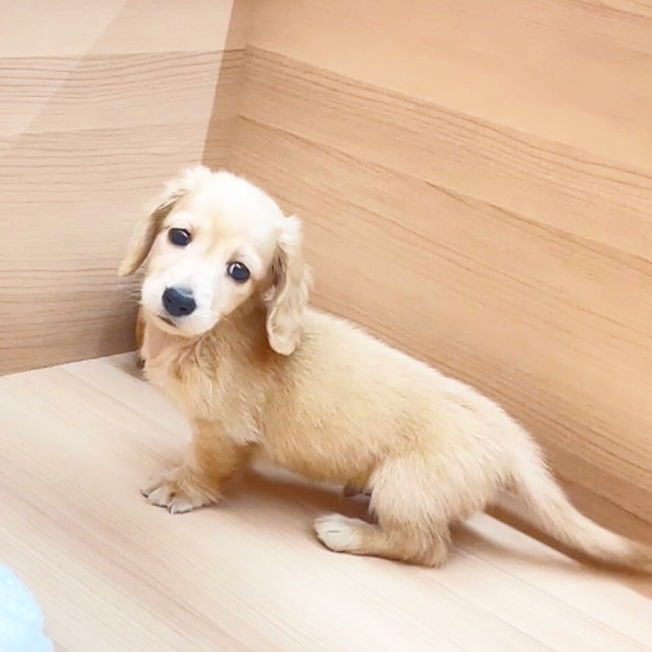 生体画像4