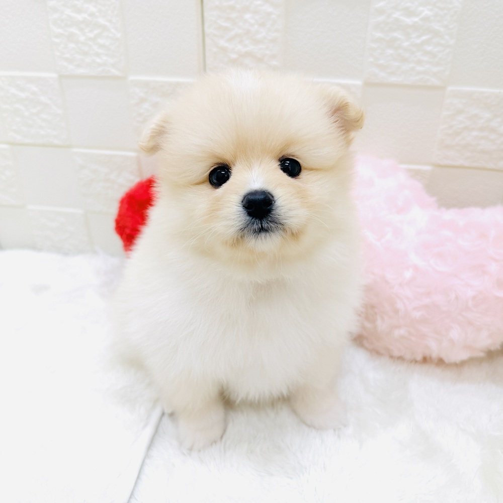 生体画像４
