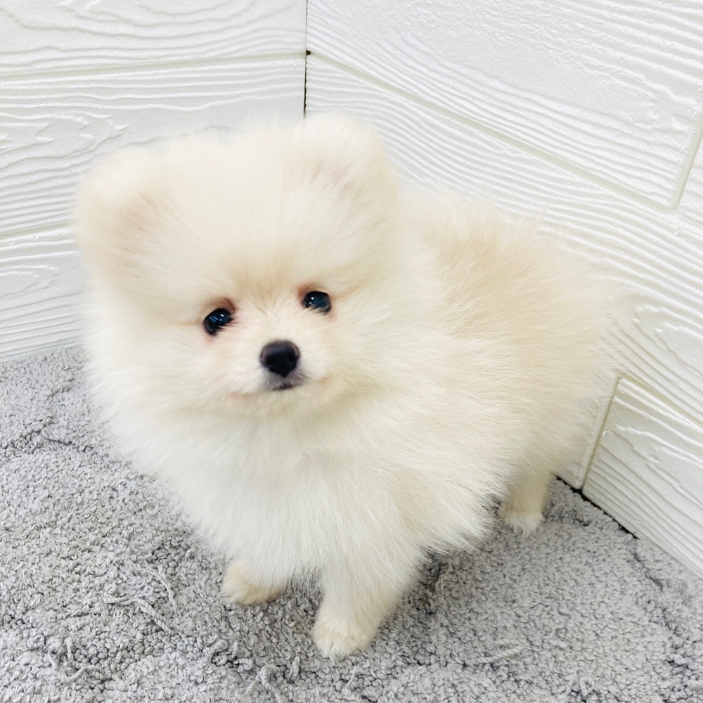 生体画像４