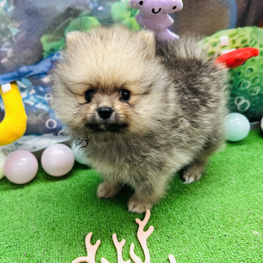 生体画像４