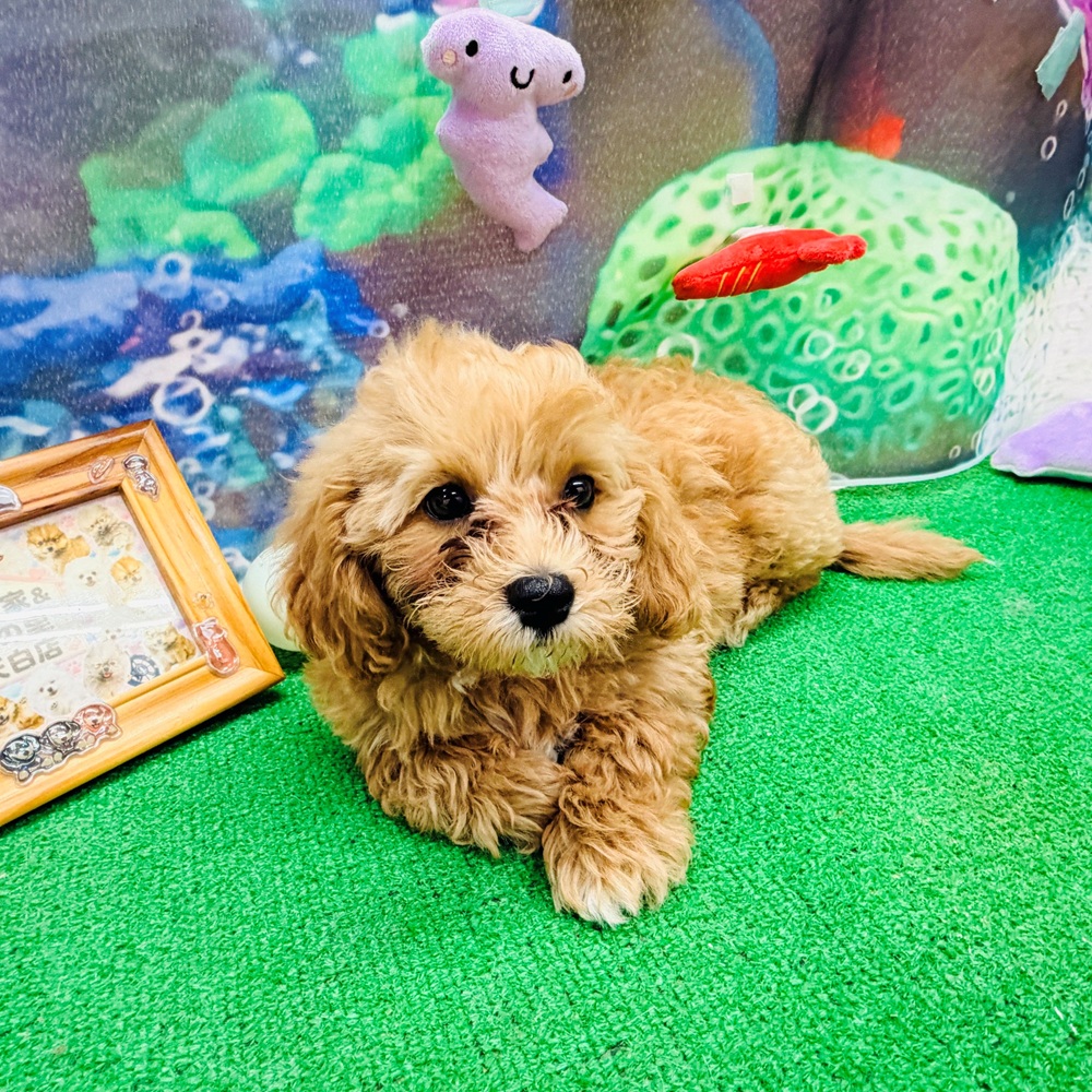 生体画像4