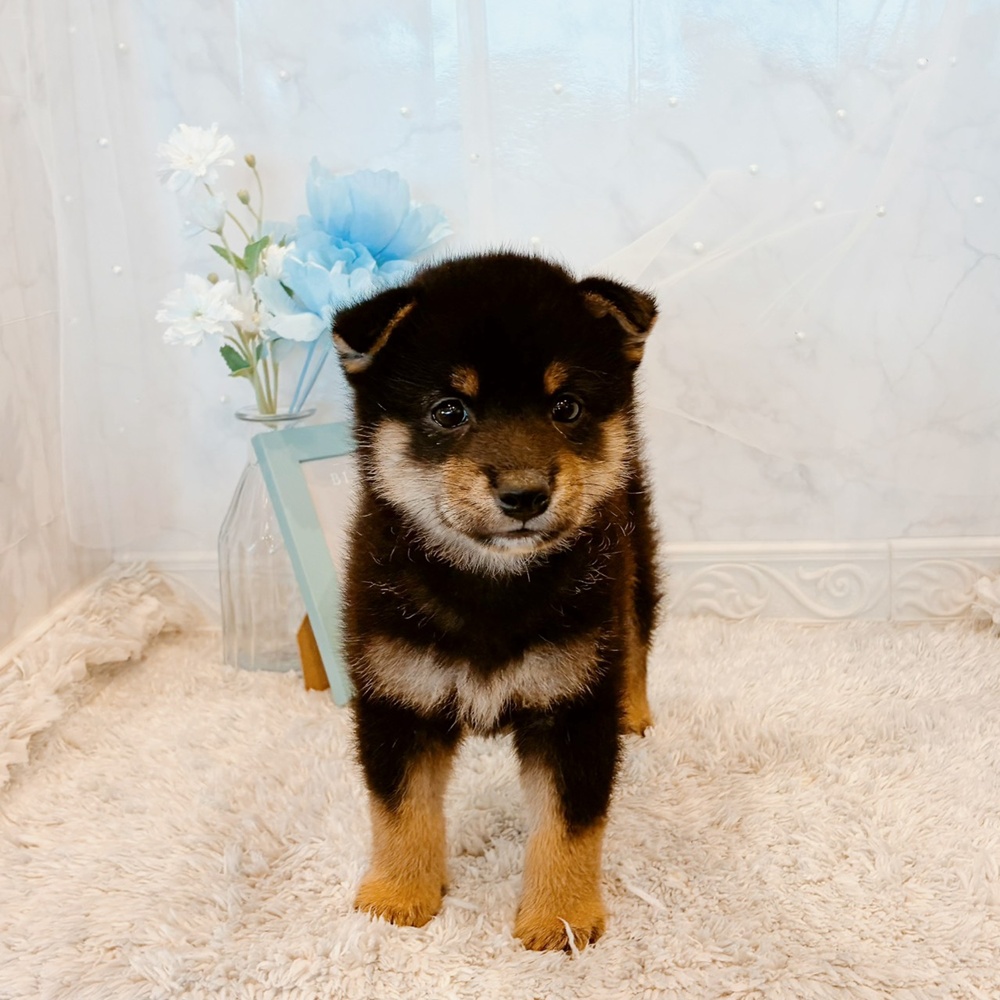 生体画像４