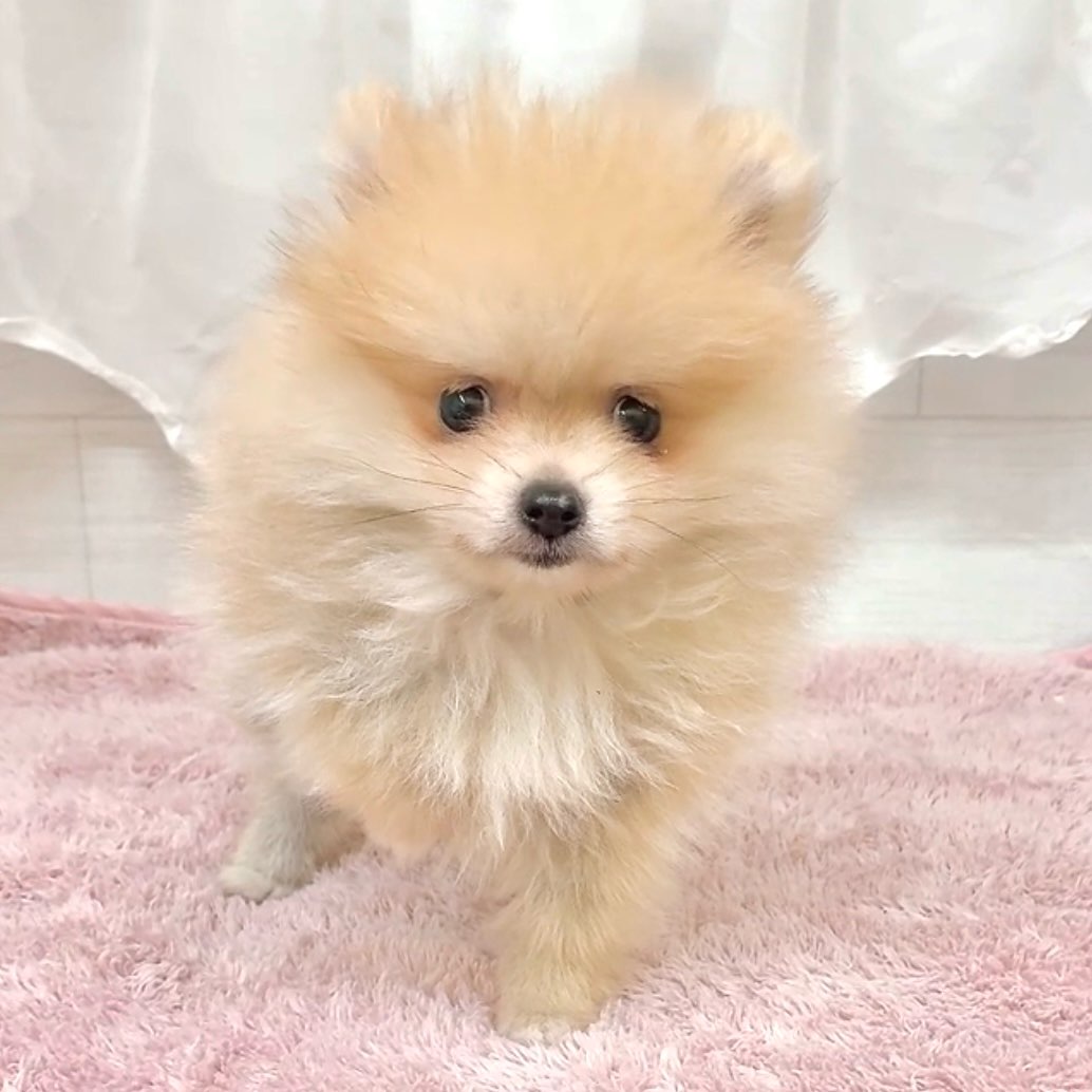 生体画像4