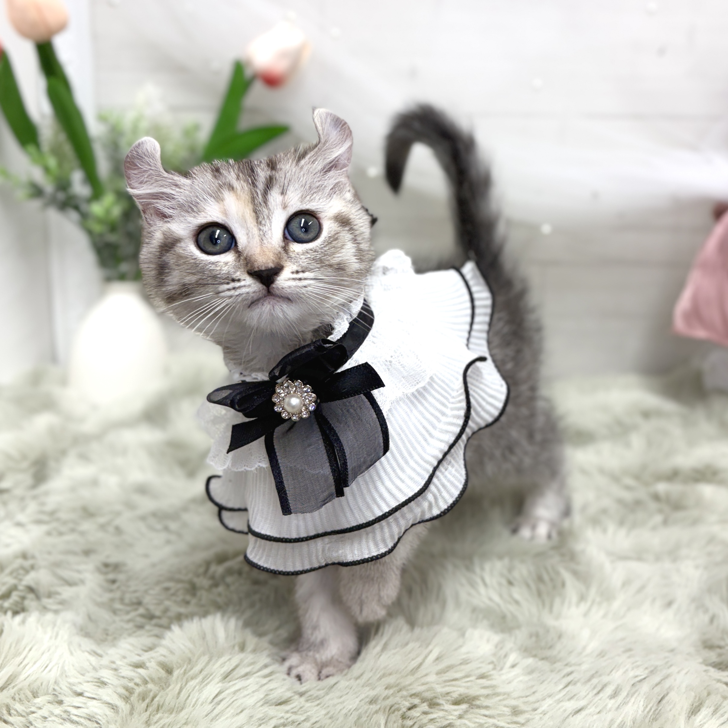 生体画像４