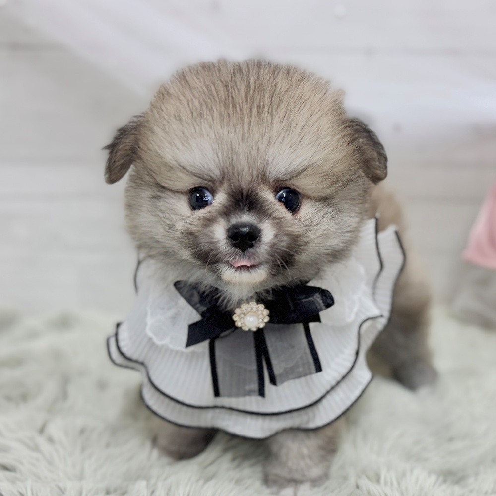 生体画像４