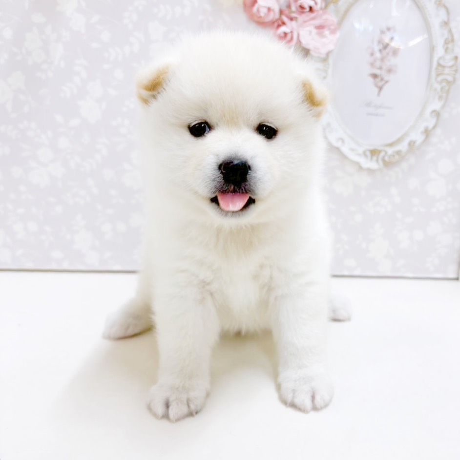 生体画像４